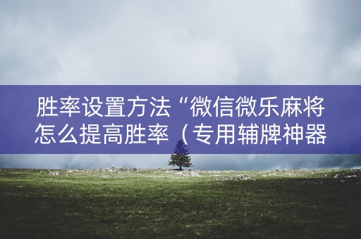 胜率设置方法“微信微乐麻将怎么提高胜率（专用辅牌神器免安装）