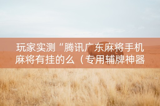 玩家实测“腾讯广东麻将手机麻将有挂的么（专用辅牌神器免安装）