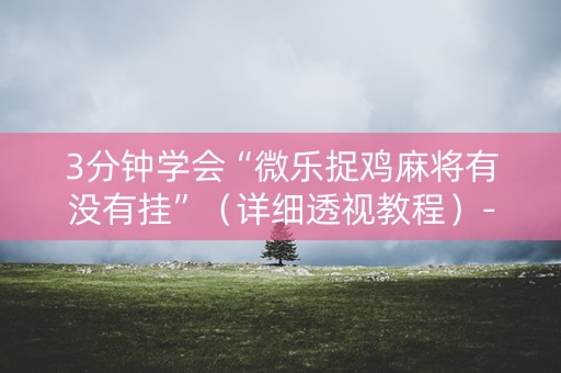 3分钟学会“微乐捉鸡麻将有没有挂”（详细透视教程）-哔哩哔哩