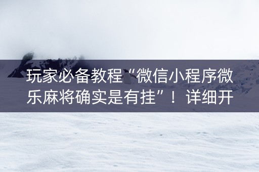玩家必备教程“微信小程序微乐麻将确实是有挂”！详细开挂教程（确实真的有挂)-知乎