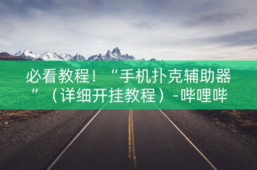 必看教程！“手机扑克辅助器”（详细开挂教程）-哔哩哔哩