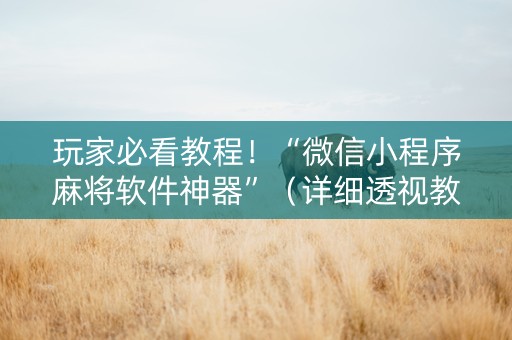 玩家必看教程！“微信小程序麻将软件神器”（详细透视教程）-哔哩哔哩