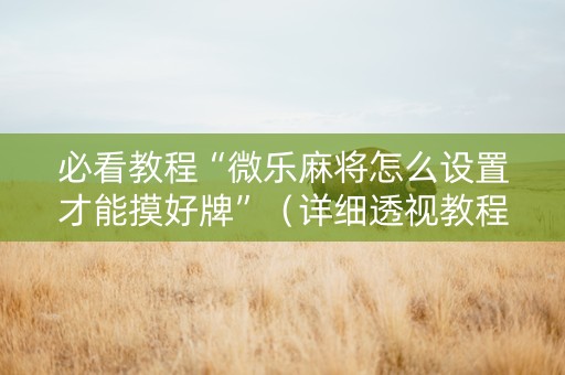 必看教程“微乐麻将怎么设置才能摸好牌”（详细透视教程）-哔哩哔哩