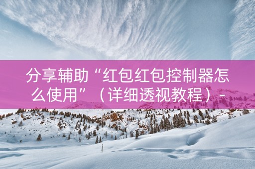 分享辅助“红包红包控制器怎么使用”（详细透视教程）-哔哩哔哩