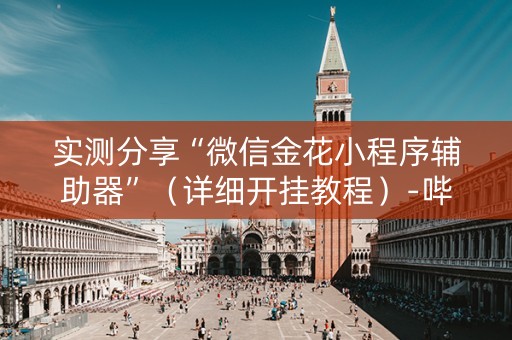实测分享“微信金花小程序辅助器”（详细开挂教程）-哔哩哔哩