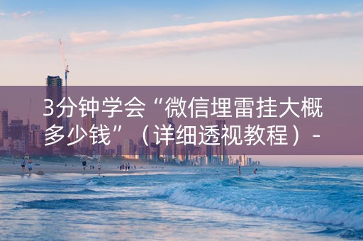 3分钟学会“微信埋雷挂大概多少钱”（详细透视教程）-哔哩哔哩