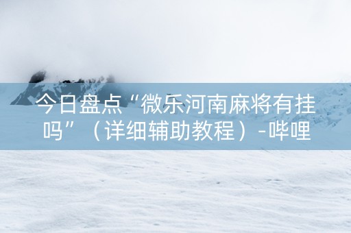 今日盘点“微乐河南麻将有挂吗”（详细辅助教程）-哔哩哔哩