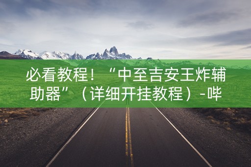 必看教程！“中至吉安王炸辅助器”（详细开挂教程）-哔哩哔哩