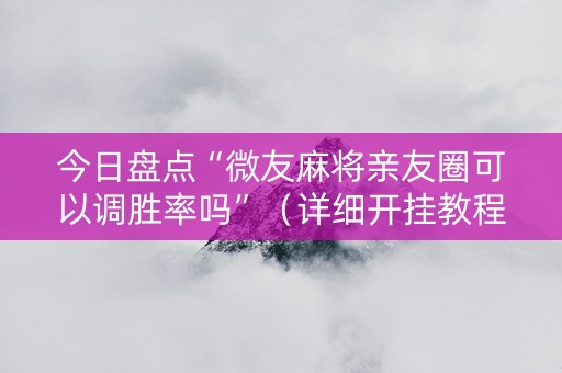 今日盘点“微友麻将亲友圈可以调胜率吗”（详细开挂教程）-哔哩哔哩