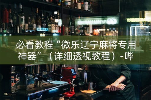 必看教程“微乐辽宁麻将专用神器”（详细透视教程）-哔哩哔哩