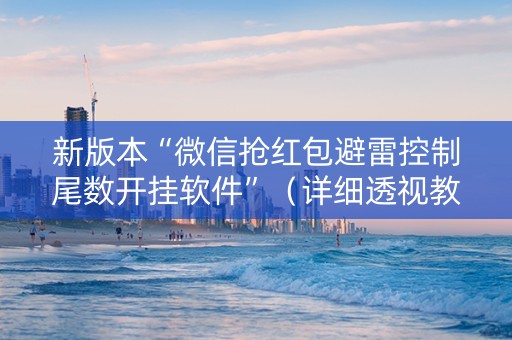 新版本“微信抢红包避雷控制尾数开挂软件”（详细透视教程）-哔哩哔哩