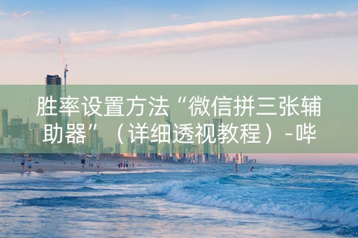 胜率设置方法“微信拼三张辅助器”（详细透视教程）-哔哩哔哩