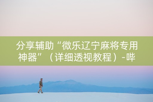 分享辅助“微乐辽宁麻将专用神器”（详细透视教程）-哔哩哔哩
