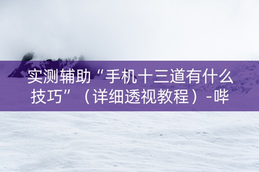 实测辅助“手机十三道有什么技巧”（详细透视教程）-哔哩哔哩
