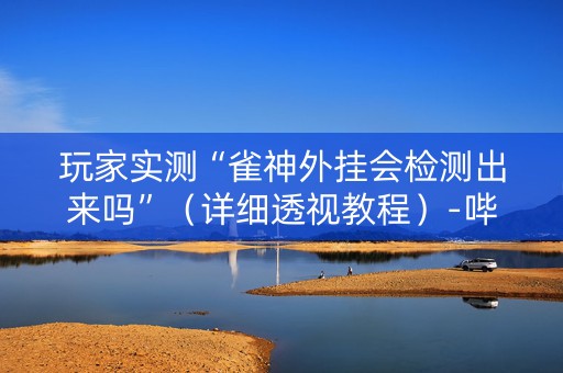 玩家实测“雀神外挂会检测出来吗”（详细透视教程）-哔哩哔哩