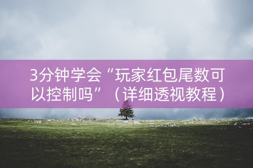 3分钟学会“玩家红包尾数可以控制吗”（详细透视教程）-哔哩哔哩