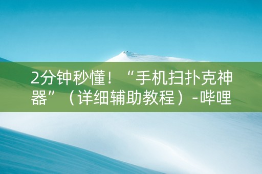 2分钟秒懂！“手机扫扑克神器”（详细辅助教程）-哔哩哔哩