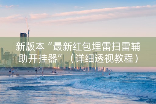 新版本“最新红包埋雷扫雷辅助开挂器”（详细透视教程）-哔哩哔哩