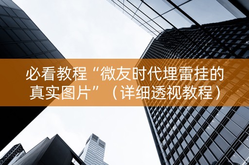 必看教程“微友时代埋雷挂的真实图片”（详细透视教程）-哔哩哔哩