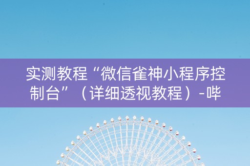 实测教程“微信雀神小程序控制台”（详细透视教程）-哔哩哔哩