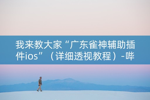 我来教大家“广东雀神辅助插件ios”（详细透视教程）-哔哩哔哩