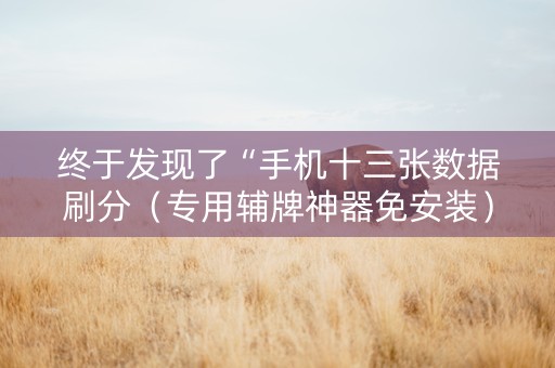 终于发现了“手机十三张数据刷分（专用辅牌神器免安装）