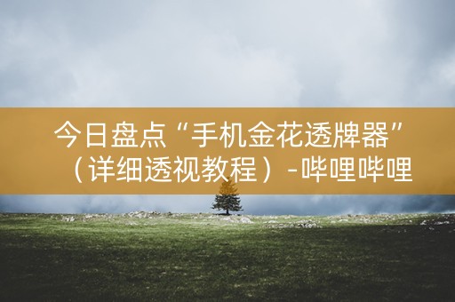 今日盘点“手机金花透牌器”（详细透视教程）-哔哩哔哩