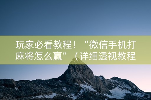 玩家必看教程！“微信手机打麻将怎么赢”（详细透视教程）-哔哩哔哩