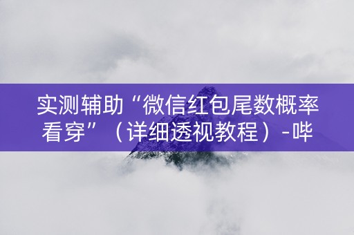 实测辅助“微信红包尾数概率看穿”（详细透视教程）-哔哩哔哩