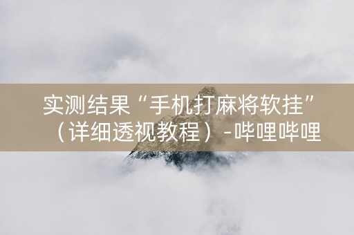实测结果“手机打麻将软挂”（详细透视教程）-哔哩哔哩