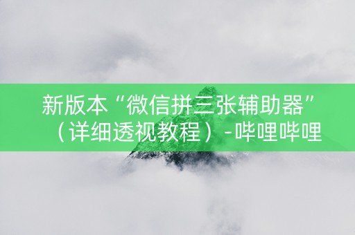 新版本“微信拼三张辅助器”（详细透视教程）-哔哩哔哩