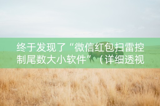 终于发现了“微信红包扫雷控制尾数大小软件”（详细透视教程）-哔哩哔哩
