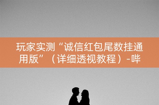 玩家实测“诚信红包尾数挂通用版”（详细透视教程）-哔哩哔哩