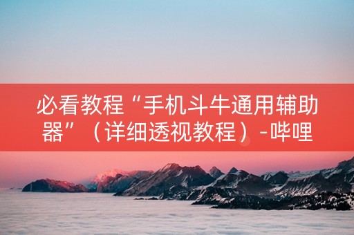 必看教程“手机斗牛通用辅助器”（详细透视教程）-哔哩哔哩