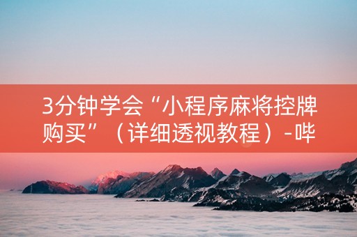 3分钟学会“小程序麻将控牌购买”（详细透视教程）-哔哩哔哩