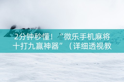 2分钟秒懂！“微乐手机麻将十打九赢神器”（详细透视教程）-哔哩哔哩