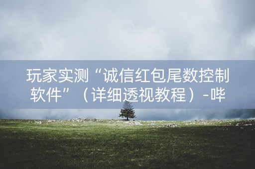 玩家实测“诚信红包尾数控制软件”（详细透视教程）-哔哩哔哩
