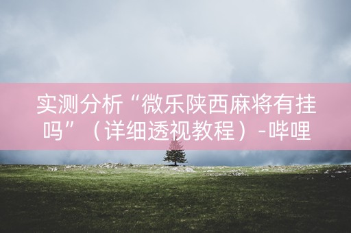 实测分析“微乐陕西麻将有挂吗”（详细透视教程）-哔哩哔哩