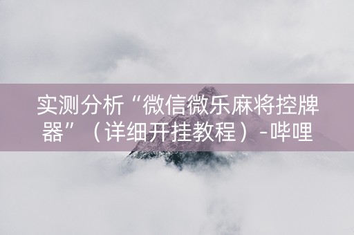 实测分析“微信微乐麻将控牌器”（详细开挂教程）-哔哩哔哩