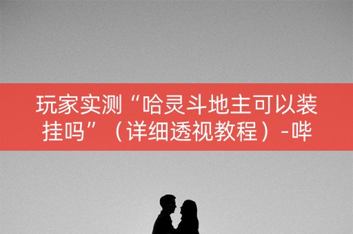 玩家实测“哈灵斗地主可以装挂吗”（详细透视教程）-哔哩哔哩