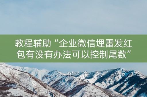 教程辅助“企业微信埋雷发红包有没有办法可以控制尾数”（详细透视教程）-哔哩哔哩