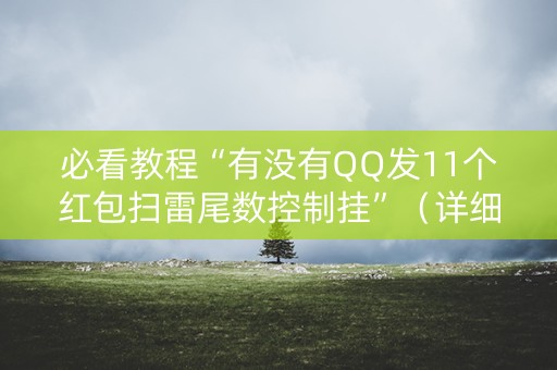 必看教程“有没有QQ发11个红包扫雷尾数控制挂”（详细透视教程）-哔哩哔哩