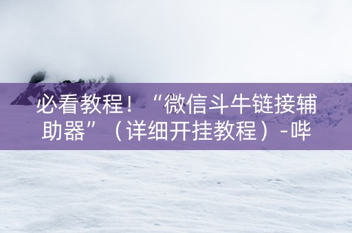 必看教程！“微信斗牛链接辅助器”（详细开挂教程）-哔哩哔哩