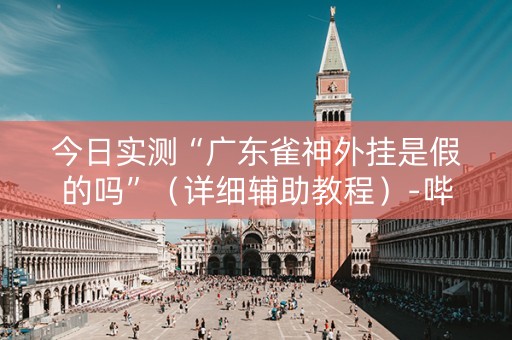今日实测“广东雀神外挂是假的吗”（详细辅助教程）-哔哩哔哩