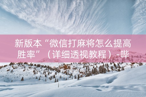 新版本“微信打麻将怎么提高胜率”（详细透视教程）-哔哩哔哩