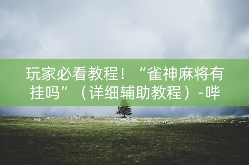 玩家必看教程！“雀神麻将有挂吗”（详细辅助教程）-哔哩哔哩