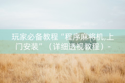 玩家必备教程“程序麻将机,上门安装”（详细透视教程）-哔哩哔哩