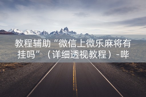 教程辅助“微信上微乐麻将有挂吗”（详细透视教程）-哔哩哔哩