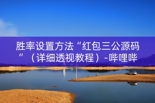胜率设置方法“红包三公源码”（详细透视教程）-哔哩哔哩