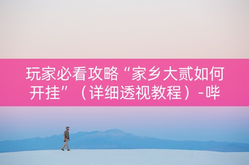 玩家必看攻略“家乡大贰如何开挂”（详细透视教程）-哔哩哔哩
